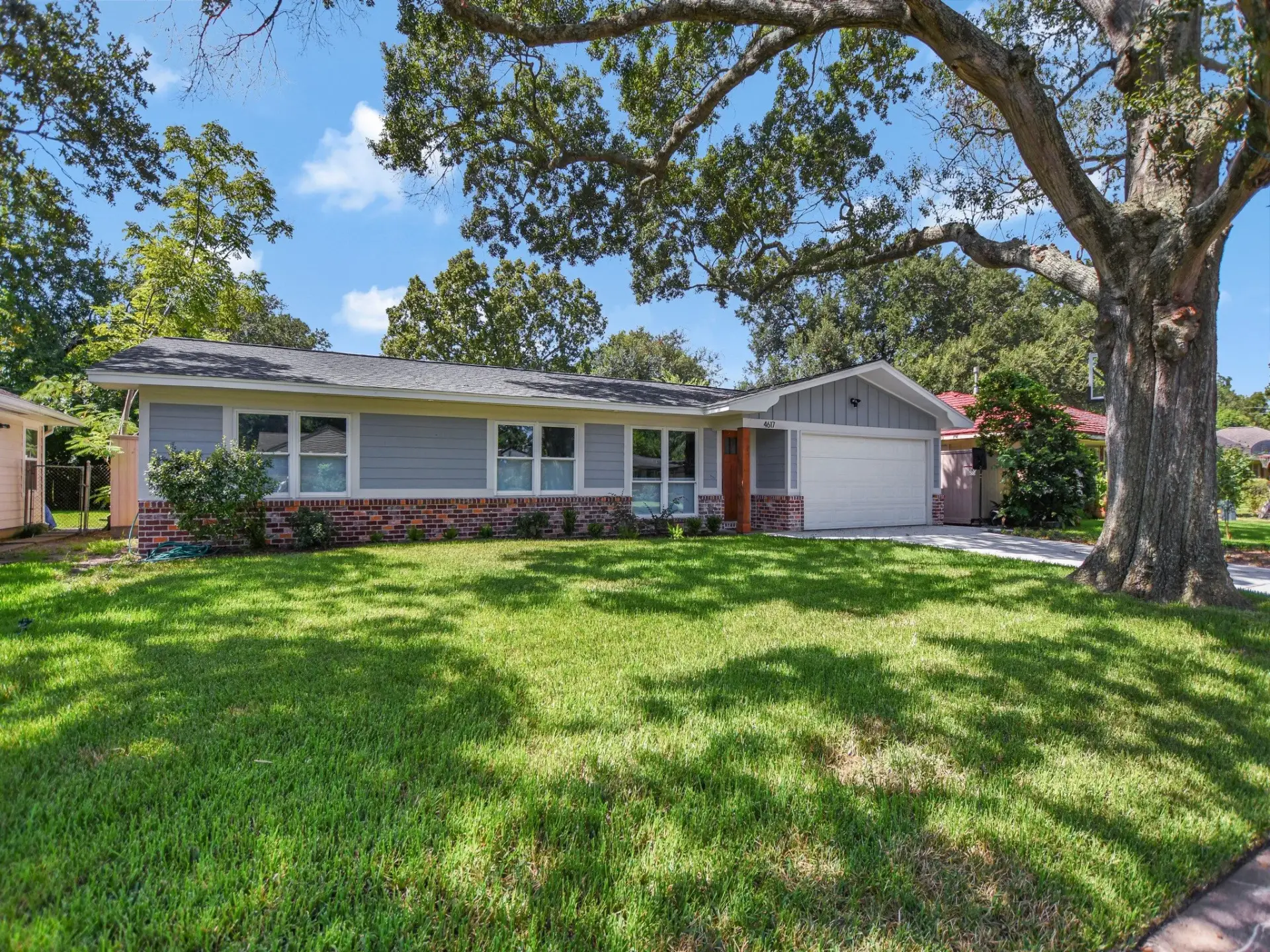 Redstart Project Image 3 in Texas